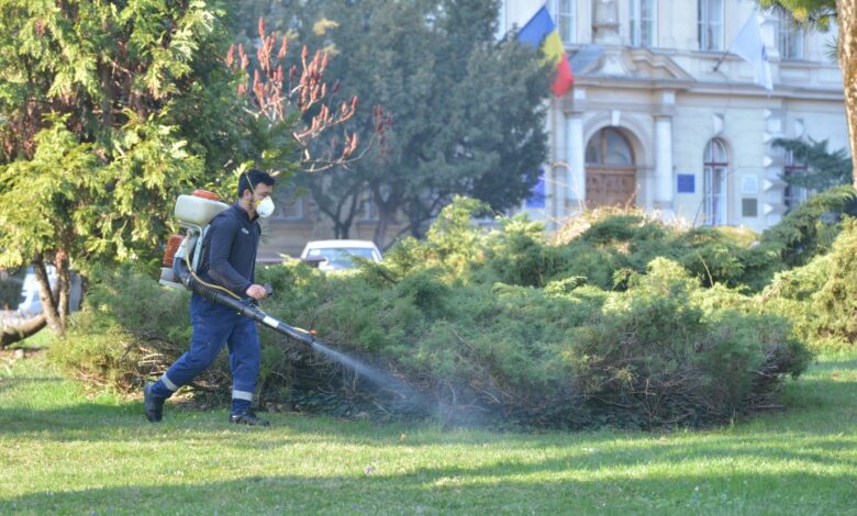 Dezinsecție și tratamente fitosanitare în Brașov 3 Dezinsecție și tratamente fitosanitare în Brașov | MyTex.ro