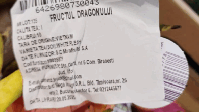 Alertă alimentară | MyTex.ro