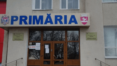 Turistă | MyTex.ro