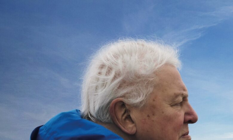 Ocean, narat de David Attenborough, proiecție în premieră la Brașov 3 Ocean | MyTex.ro