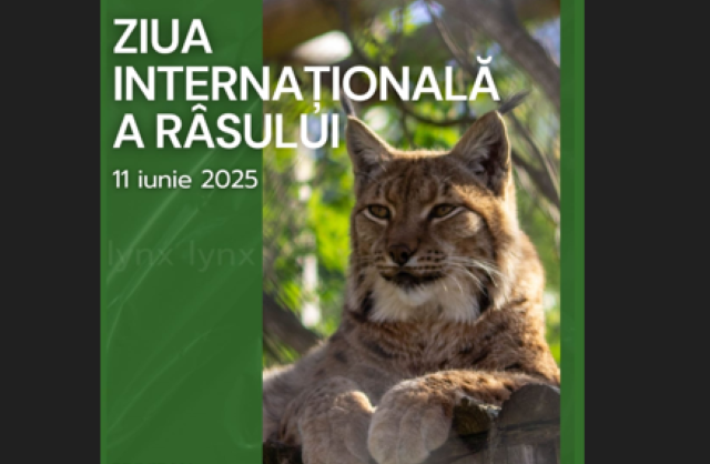 Ziua Internațională a Râsului, la Zoo Braşov 3 Zoo Braşov | MyTex.ro