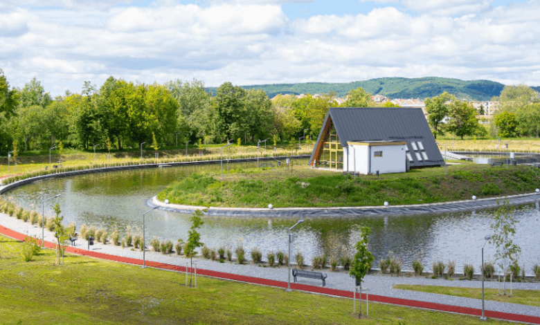 Renaşterea lacului Gării din Sfântu Gheorghe / Picnic, concert, film, prăjituri şi recreere 3 Renaşterea lacului Gării din Sfântu Gheorghe | MyTex.ro