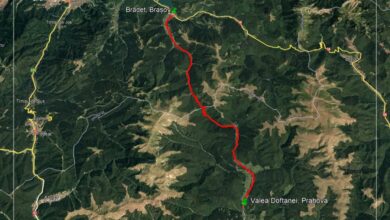 Autostrada A13 Sibiu – Făgăraș avansează | MyTex.ro