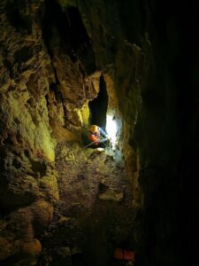 Salvamont | MyTex.ro