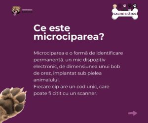 Microcipul