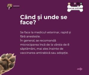 Microcipul | MyTex.ro
