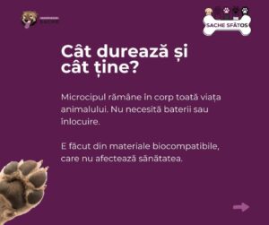 Microcipul | MyTex.ro