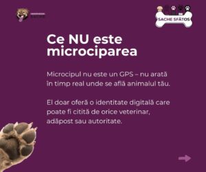 Microcipul | MyTex.ro