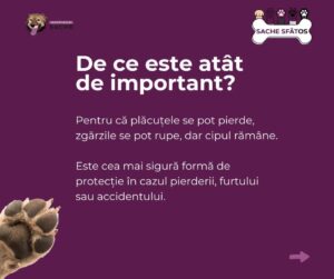 Microcipul | MyTex.ro