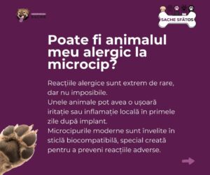 Microcipul | MyTex.ro
