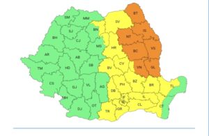 brașovul intră | MyTex.ro