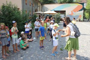 Propunere de vacanță pentru copiii brașoveni | MyTex.ro