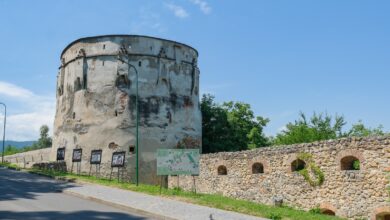 Sumă impresionantă | MyTex.ro