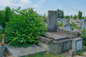 Lucrări de salubrizare la Cimitirul Municipal | MyTex.ro