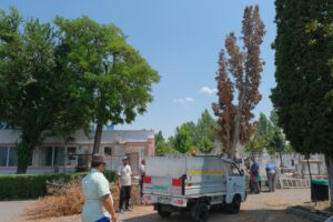 Lucrări de salubrizare la Cimitirul Municipal | MyTex.ro
