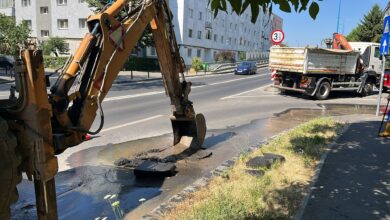 Dezvoltatorii din Tractorul | MyTex.ro