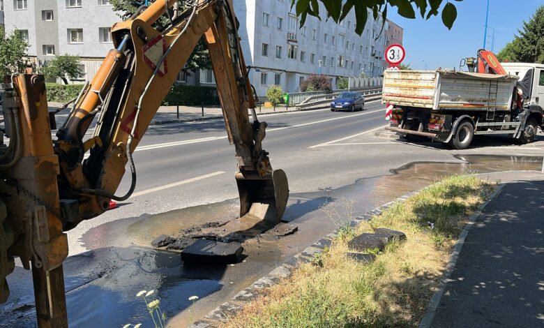 Fără apă | MyTex.ro