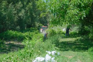 Au început lucrările de curățare a pârâului Ghimbășel în zona Stupini | MyTex.ro