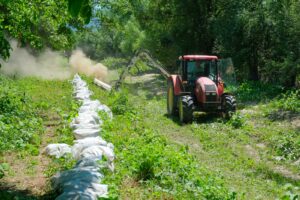 Au început lucrările de curățare a pârâului Ghimbășel în zona Stupini | MyTex.ro
