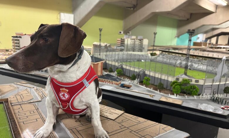 Unde va juca brașoveanul Daniel Paraschiv 3 Unde va juca | MyTex.ro