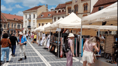 Se caută meșteșugari și producători locali autentici | MyTex.ro
