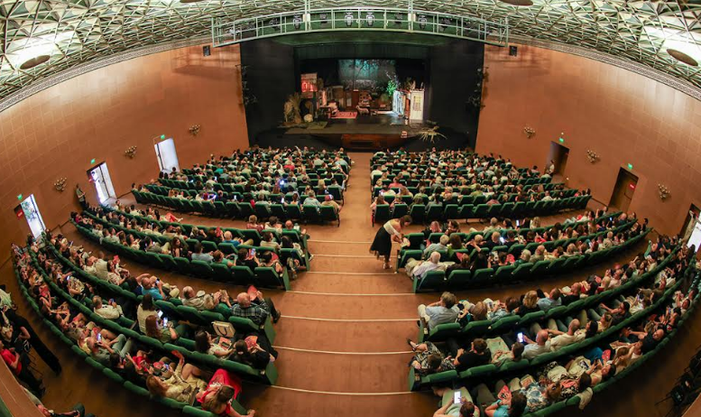 Teatrul Nottara și Teatrul de Comedie, marii câștigători ai Festivalului Săptămâna Comediei 2025 de la Brașov 15 | MyTex.ro