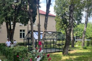 Trei şcoli din județ primesc 45.000 de euro pentru a reduce abandonul şcolar | MyTex.ro