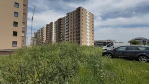 De anul viitor | MyTex.ro