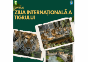 O nouă zi specială la Zoo | MyTex.ro