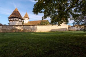 Săptămâna concertelor | MyTex.ro