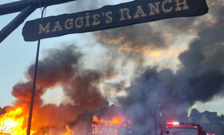 Primăria Râșnov, apel important legat de incendiul de la complexul turistic Maggie's Ranch! 3 Primăria Râșnov | MyTex.ro