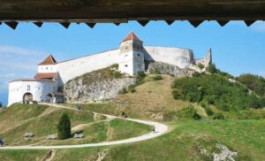 Grădina