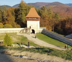 Grădina | MyTex.ro