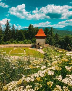 Grădina | MyTex.ro