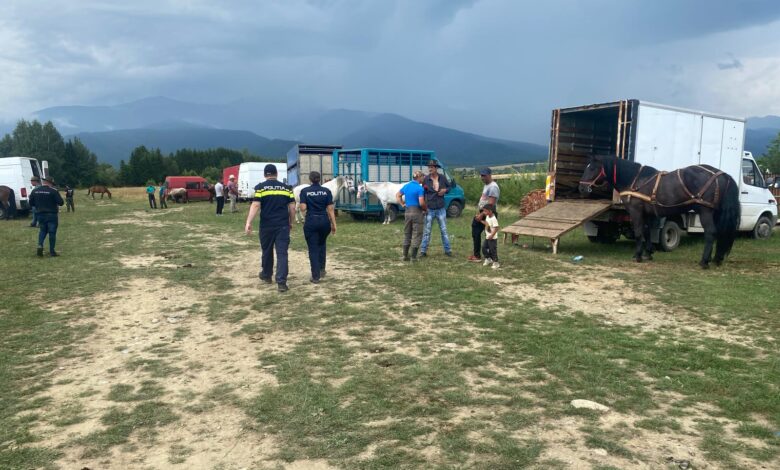 Amenzi de 17.000 de lei, la un târg de animale din județul Brașov 3 târg de animale