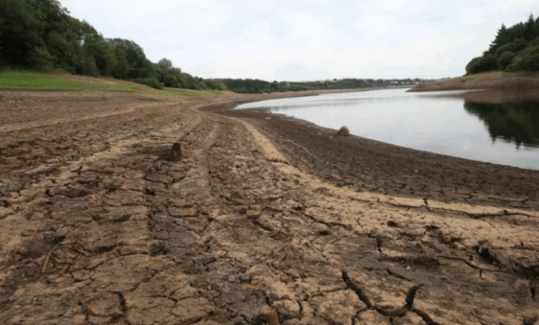 Folosirea stropitoarelor, interzisă / Lipsa apei, problemă de importanţă naţională în Anglia 3 Folosirea stropitoarelor | MyTex.ro
