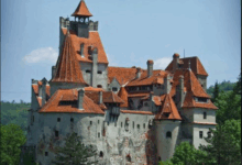 Turcii de la Otokar | MyTex.ro
