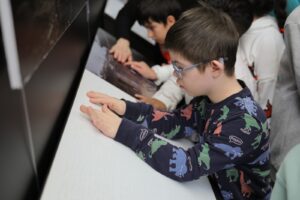 Expoziția de fotografie | MyTex.ro