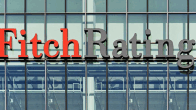 Radu Georgescu | MyTex.ro