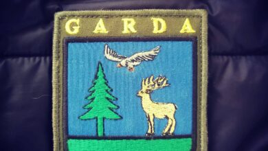 Se caută inspector-șef la Garda Forestieră Brașov | MyTex.ro