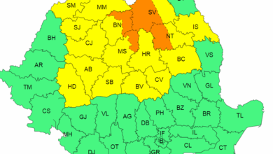 Avalanșe | MyTex.ro