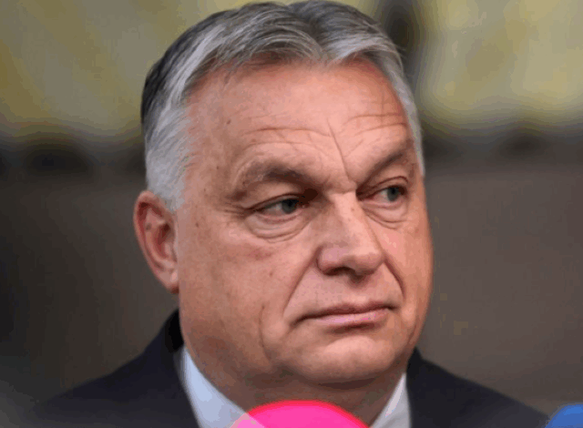 Un bărbat care plănuia uciderea lui Viktor Orban a fost reținut | MyTex.ro