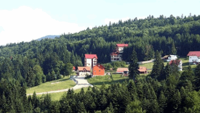 Jonglerii | MyTex.ro