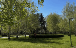 Festivalul Bulzului la Brașov | MyTex.ro