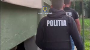 Percheziții | MyTex.ro