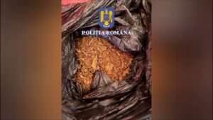 percheziții tutun