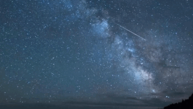 Nopți cu ploi de stele | MyTex.ro