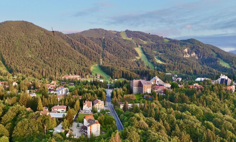 Găselniţa unor hotelieri | MyTex.ro