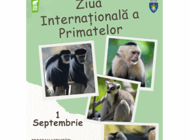 Ziua Internațională a Primatelor, la Zoo Braşov 3 Ziua Internațională a Primatelor | MyTex.ro
