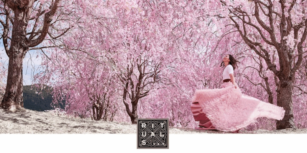 RITUALS COSMETICS DESCHIDE PRIMUL MAGAZIN DIN CENTRUL ȚĂRII, ÎN BRAȘOV 7 | MyTex.ro